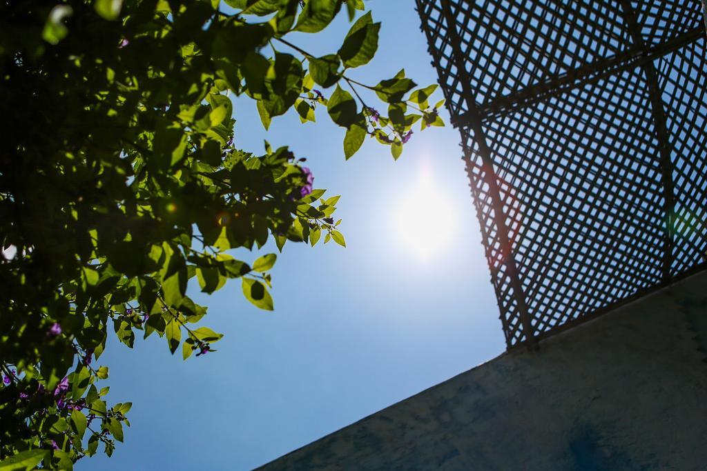 Riad Jardin Des Biehn Fes Exterior photo