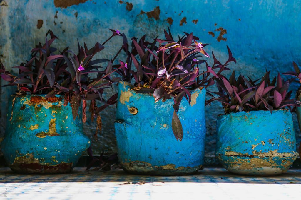 Riad Jardin Des Biehn Fes Exterior photo